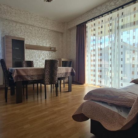 Perfect Stay -Free Underground Parking Place, Free Late Check-Out Sibiu Dış mekan fotoğraf